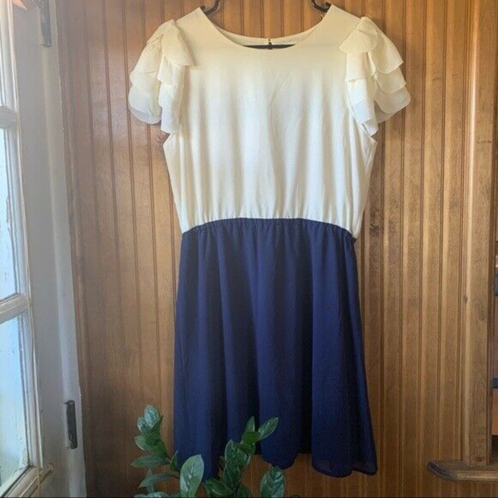 Olive & Oak Colorblock Flutter Sleeve Dress | Women Sz Medium